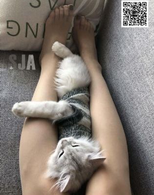 午夜成人免费试看_超清电影完整版