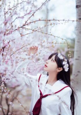 日本a级网_BD英语超清免费观看